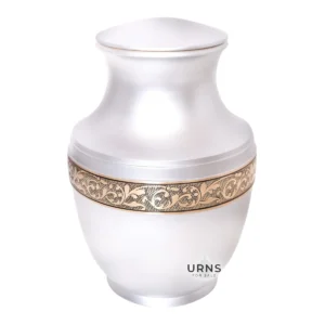Shining Serenity Cremation Urn - Affordable Urns