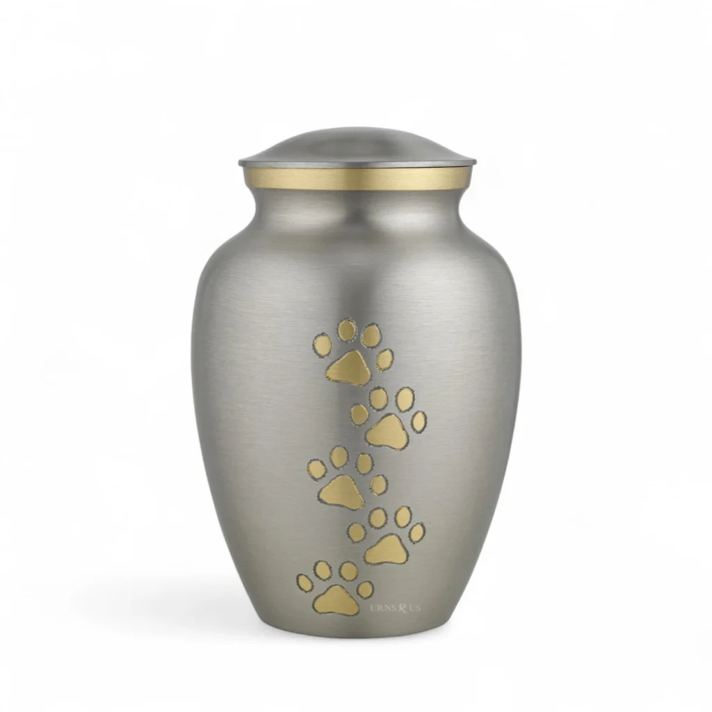 silver with gold brass dog cat pet cremation urn for ashes 3