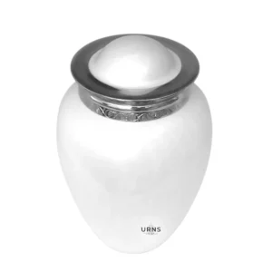 White cremation urn with silver trim – SoulHalo DoveMist memorial urn