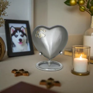 Brass heart-shaped keepsake with golden paw print detail