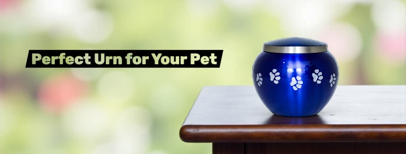Finding the perfect urn for your pet is a loving way to honour their memory. Our heartfelt guide covers types, personalization, budgeting, and how to create a meaningful tribute.