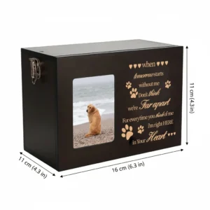 Side angle of a dark wooden pet urn, showcasing its 16cm length, 11cm height, and 11cm depth with clear dimension labels.