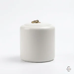 A high-gloss Alabaster Zen Ceramic Cremation Urn featuring an alabaster finish and a brass ring lid, isolated on a clean white background.