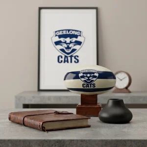 A sleek Geelong Cats AFL Cremation Urn used as a memorial piece on a modern executive desk.