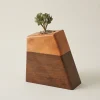 Modern two-tone wooden plant urn for adult human ashes, featuring a small green succulent planted in the top section against a clean, minimalist background.