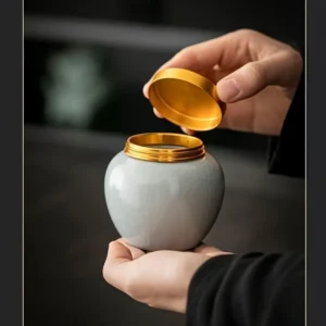 Aurora Memory Pet Urn – showing lid open