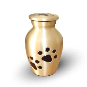 Golden Pet Keepsake Urn with Silver Paws for Dog Cat Cremation Ashes Cremains Memorial