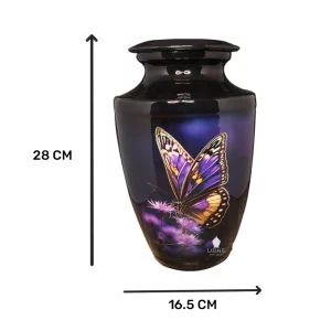 Purple Orange Butterfly on Midnight Black Adult Urn Size